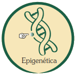 epigenetica